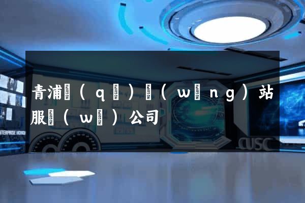 青浦區(qū)網(wǎng)站服務(wù)公司