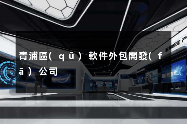 青浦區(qū)軟件外包開發(fā)公司