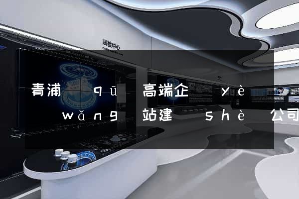 青浦區(qū)高端企業(yè)網(wǎng)站建設(shè)公司