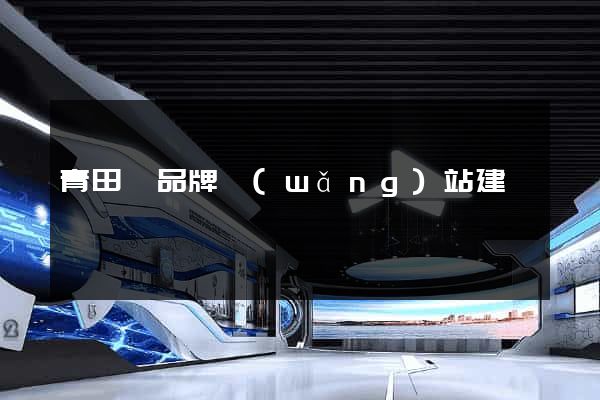 青田縣品牌網(wǎng)站建設