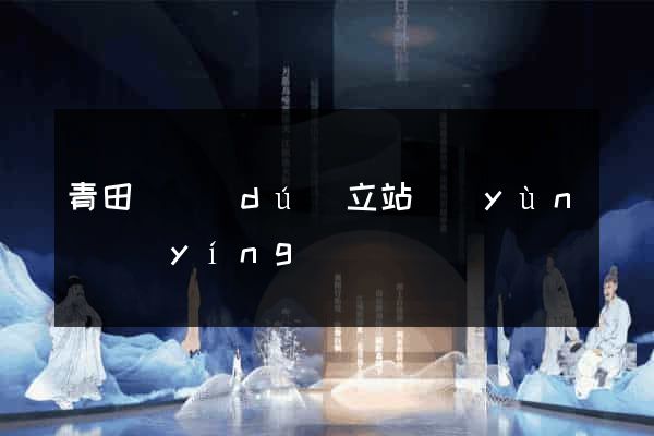 青田縣獨(dú)立站運(yùn)營(yíng)