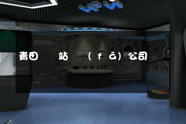 青田縣網站開發(fā)公司