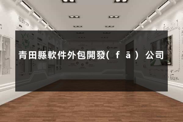 青田縣軟件外包開發(fā)公司