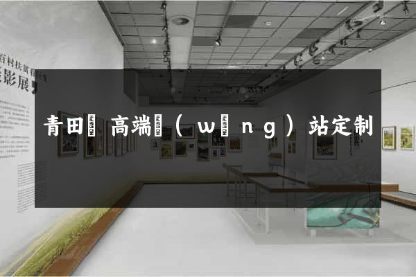 青田縣高端網(wǎng)站定制