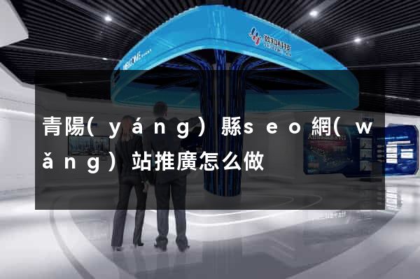青陽(yáng)縣seo網(wǎng)站推廣怎么做