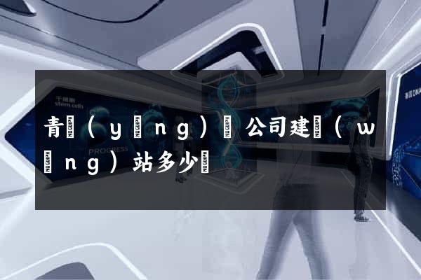 青陽(yáng)縣公司建網(wǎng)站多少錢