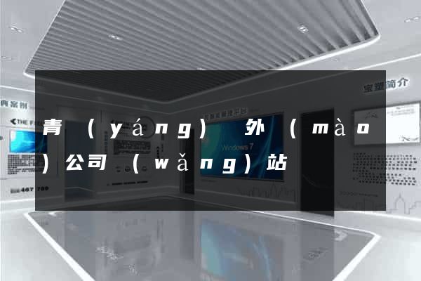 青陽(yáng)縣外貿(mào)公司網(wǎng)站