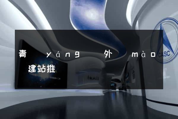 青陽(yáng)縣外貿(mào)建站推廣