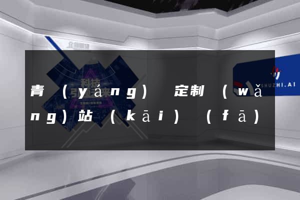 青陽(yáng)縣定制網(wǎng)站開(kāi)發(fā)