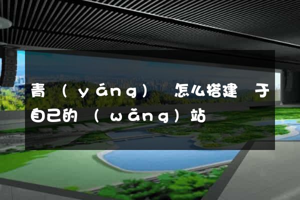 青陽(yáng)縣怎么搭建屬于自己的網(wǎng)站