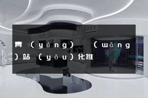 青陽(yáng)縣網(wǎng)站優(yōu)化推廣