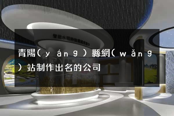 青陽(yáng)縣網(wǎng)站制作出名的公司