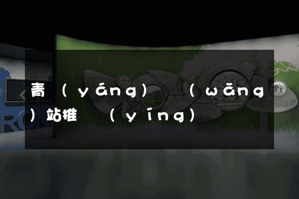青陽(yáng)縣網(wǎng)站推廣營(yíng)銷