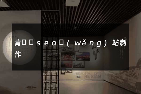 青陽縣seo網(wǎng)站制作