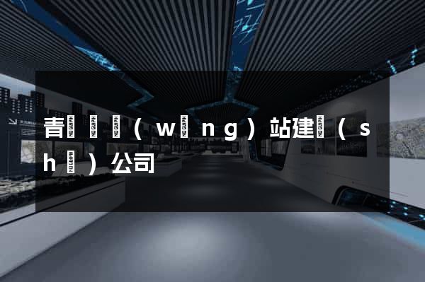 青陽縣網(wǎng)站建設(shè)公司