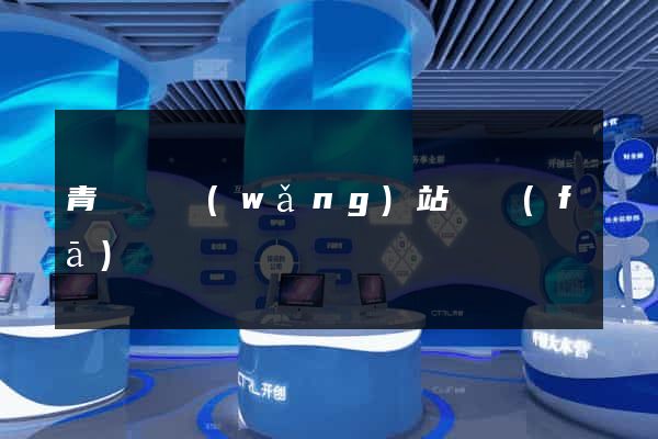 青陽縣網(wǎng)站開發(fā)