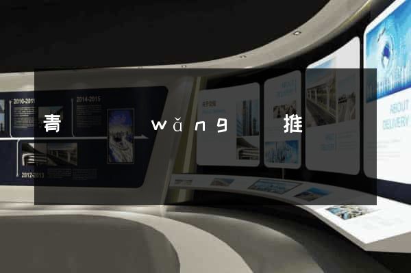 青陽縣網(wǎng)絡推廣