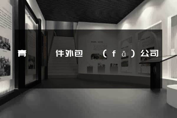 青陽縣軟件外包開發(fā)公司