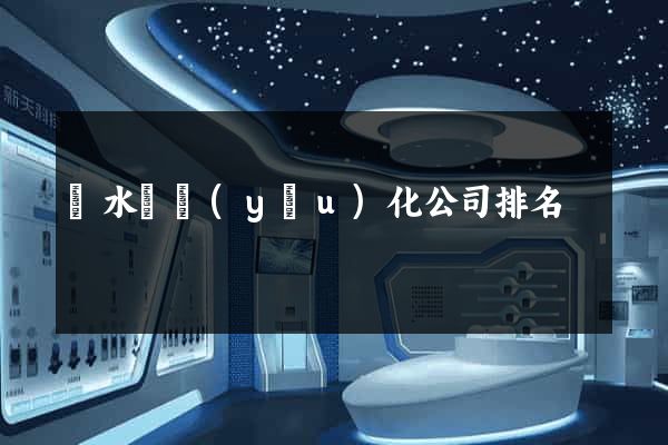 響水縣優(yōu)化公司排名