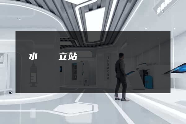 響水縣獨立站運營