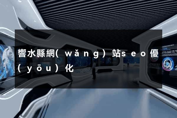 響水縣網(wǎng)站seo優(yōu)化