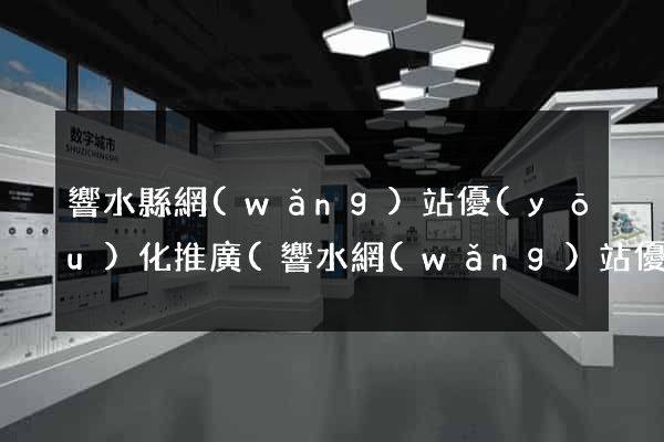 響水縣網(wǎng)站優(yōu)化推廣(響水網(wǎng)站優(yōu)化公司)
