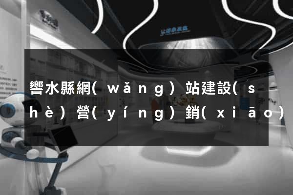 響水縣網(wǎng)站建設(shè)營(yíng)銷(xiāo)型