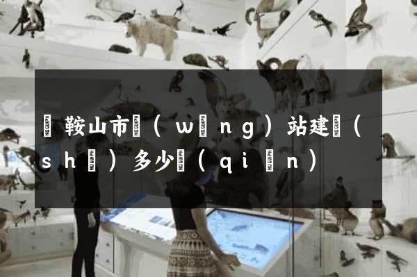 馬鞍山市網(wǎng)站建設(shè)多少錢(qián)
