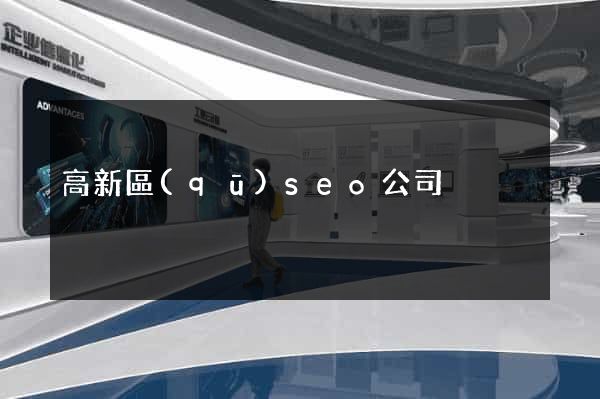 高新區(qū)seo公司