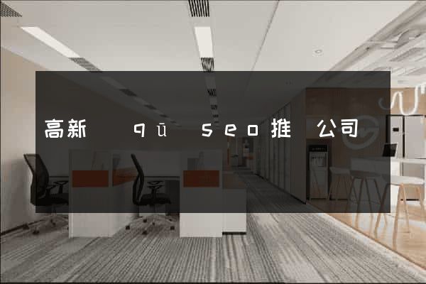 高新區(qū)seo推廣公司