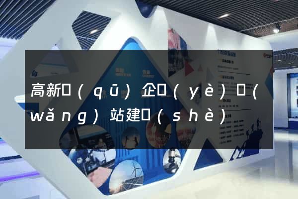 高新區(qū)企業(yè)網(wǎng)站建設(shè)