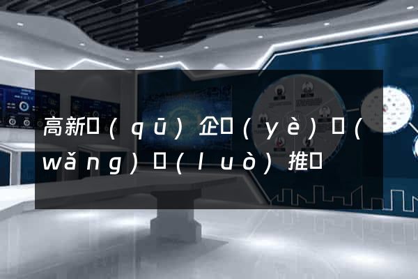 高新區(qū)企業(yè)網(wǎng)絡(luò)推廣