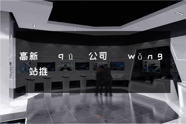 高新區(qū)公司網(wǎng)站推廣