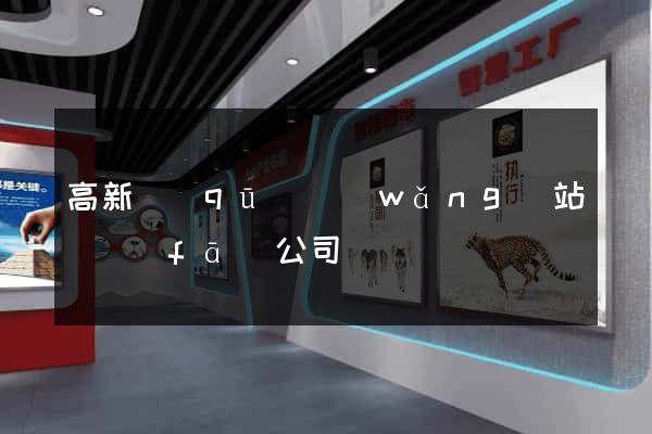 高新區(qū)網(wǎng)站開發(fā)公司
