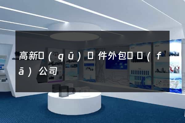 高新區(qū)軟件外包開發(fā)公司