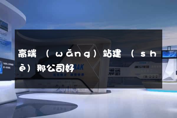 高端網(wǎng)站建設(shè)那公司好