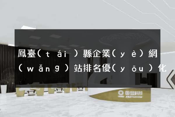 鳳臺(tái)縣企業(yè)網(wǎng)站排名優(yōu)化