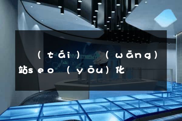 鳳臺(tái)縣網(wǎng)站seo優(yōu)化