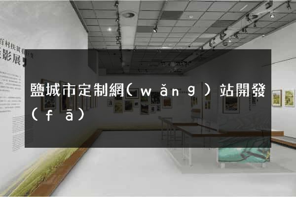鹽城市定制網(wǎng)站開發(fā)