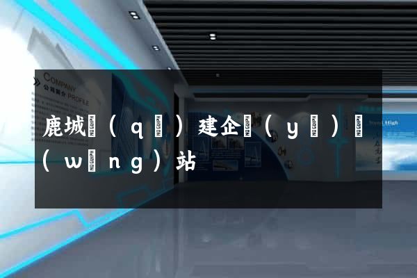 鹿城區(qū)建企業(yè)網(wǎng)站