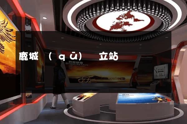 鹿城區(qū)獨立站運營