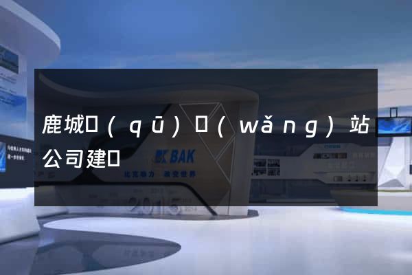 鹿城區(qū)網(wǎng)站公司建設