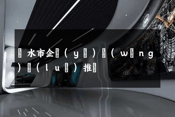麗水市企業(yè)網(wǎng)絡(luò)推廣