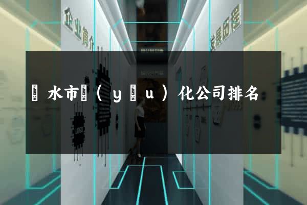 麗水市優(yōu)化公司排名