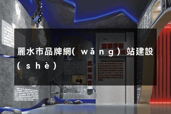 麗水市品牌網(wǎng)站建設(shè)