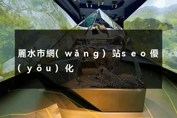 麗水市網(wǎng)站seo優(yōu)化