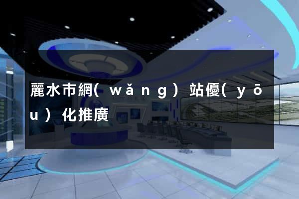 麗水市網(wǎng)站優(yōu)化推廣