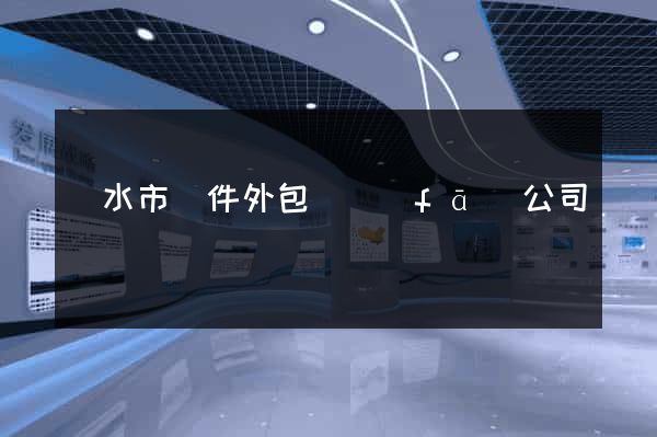 麗水市軟件外包開發(fā)公司