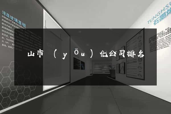 黃山市優(yōu)化公司排名