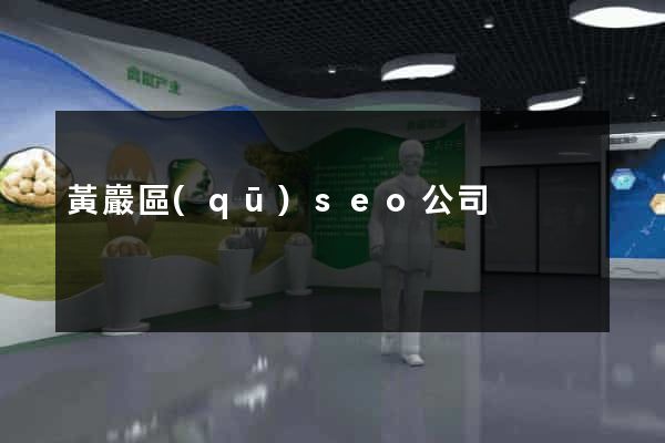 黃巖區(qū)seo公司